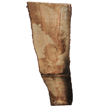 Oliven - 25x150x800 mm