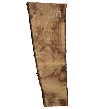 Oliven - 25x180x840 mm