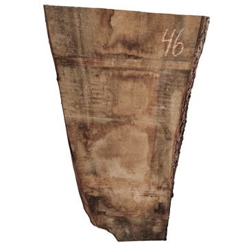 Oliven - 40x290x800 mm