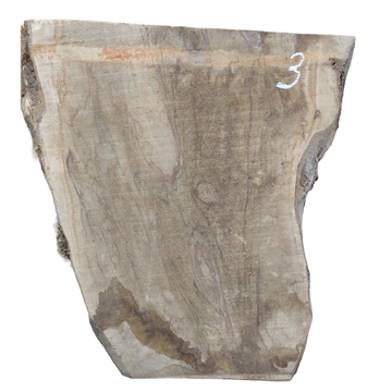 Oliven - 25x370x680 mm