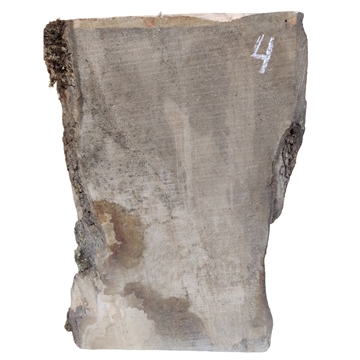 Oliven - 25x300x650 mm