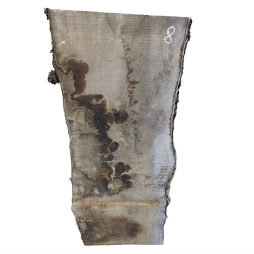 Oliven - 25x300x800 mm