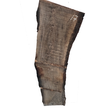 Oliven - 25x230x1000 mm