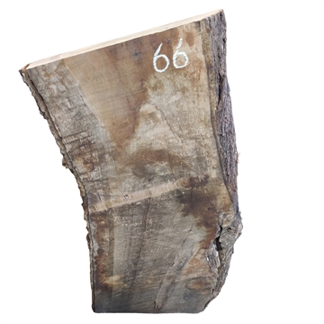 Oliven - 60x260x640 mm