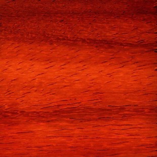 Padouk - 63x160x500 mm