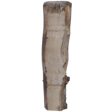 Elm Planke - 52x160x1250 mm
