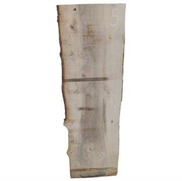 Elm Planke - 52x270x1250 mm
