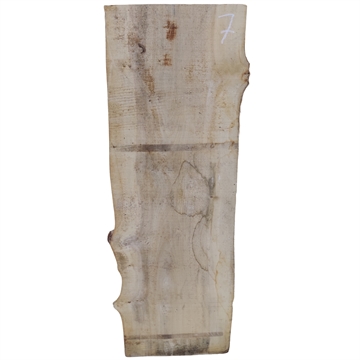 Elm Planke - 52x370x1250 mm