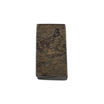 Dinosaurbein 10,0 mm - Stabilisert