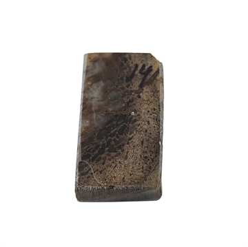 Dinosaurbein 10,0 mm - Stabilisert