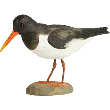 Trefugl Wildlife - Strandsnipe