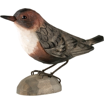 Trefugl Wildlife - Vannstær