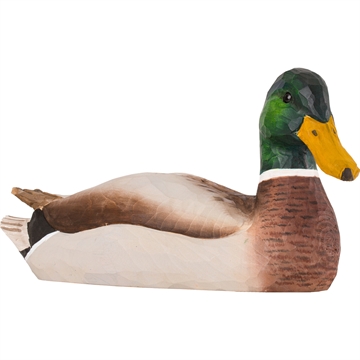 Trefugl Wildlife - Stokkand hann