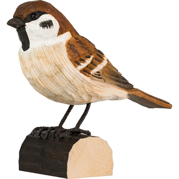 Trefugl Wildlife - Sangspurv