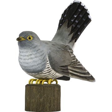 Trefugl Wildlife - Gjøk