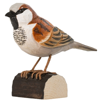 Trefugl Wildlife - Gråspurv