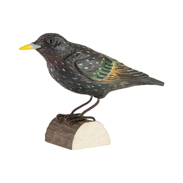 Trefugl Wildlife - Stær