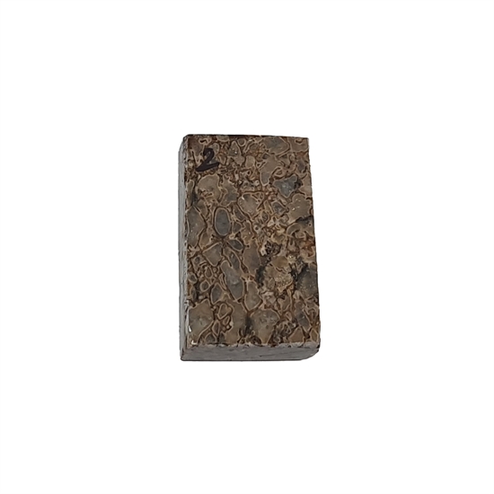 Dinosaurbein 10,0 mm - Stabilisert
