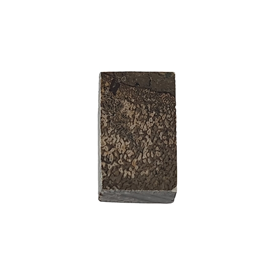 Dinosaurbein 10,0 mm - Stabilisert