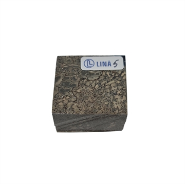 Dinosaurbein Stabilisert -  23x40x40 mm