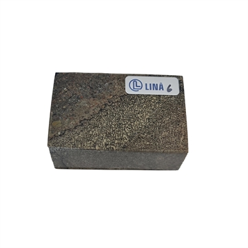 Dinosaurbein Stabilisert - 23x40x60 mm