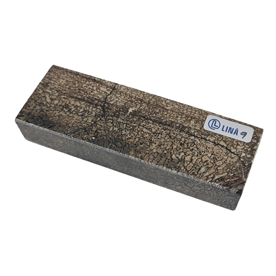 Dinosaurbein Stabilisert - 23x40x120 mm