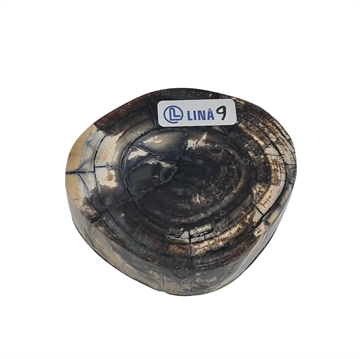 Mammut - Stabilisert