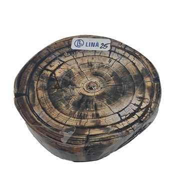 Mammut - Stabilisert