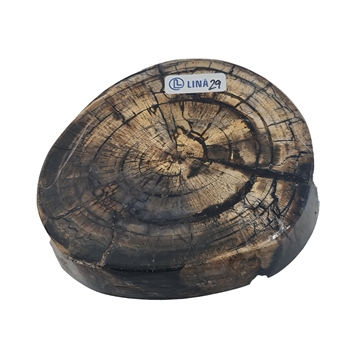 Mammut - Stabilisert