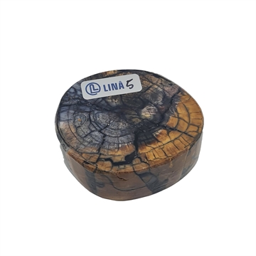 Mammut - Stabilisert