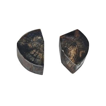 Mammut Stødtand - Holkesæt