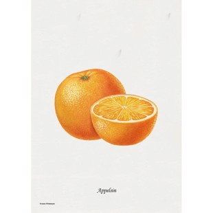 Litografi - Appelsin