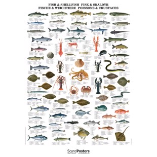 Fisk og skalldyr-plakat