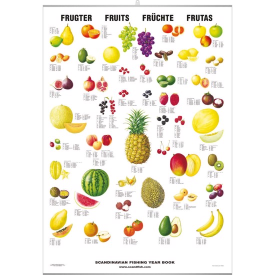 Plakat - Frukt - MED