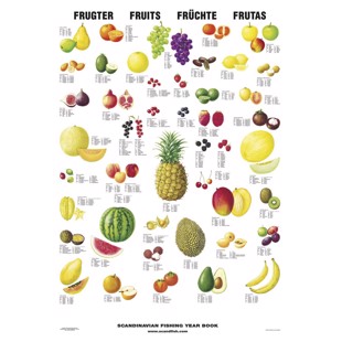 Plakat - Frukt - UTEN