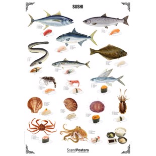 Plakat - Sushi - UTEN