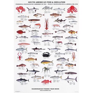 Søramerikansk Fisk & Skalldyr Plakat