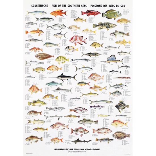 Plakat - Stillehavets fisk - UTEN