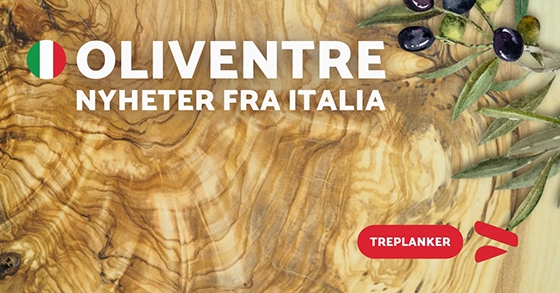 oliven tre i planker