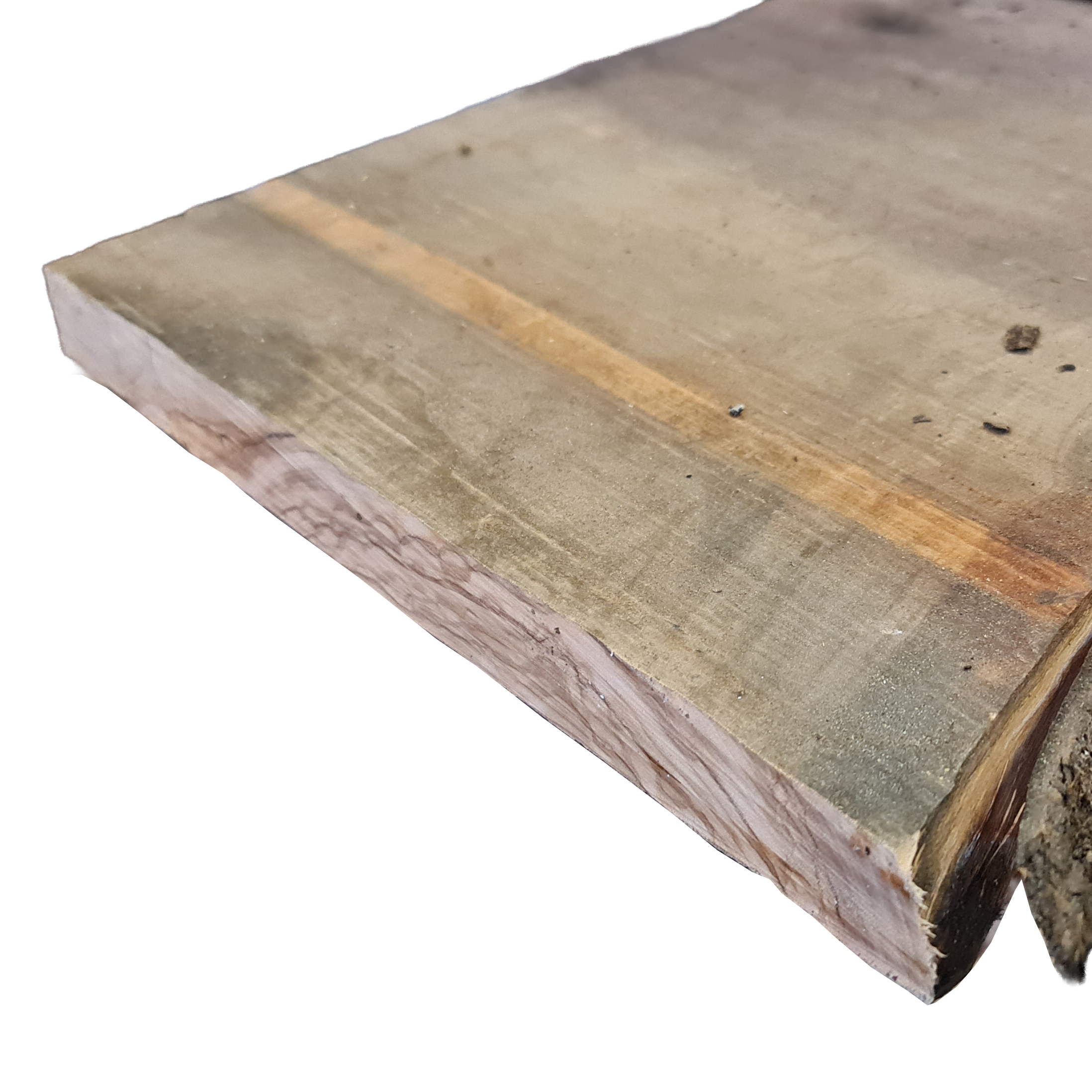 Oliven tre i planker